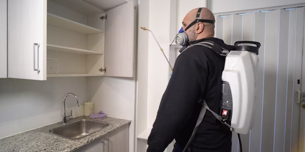 Spider control inspection inside a Vancouver home — Pesticon licensed technician